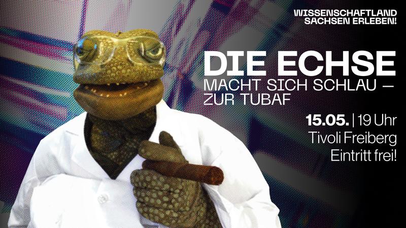 Die Echse macht sich schlau...