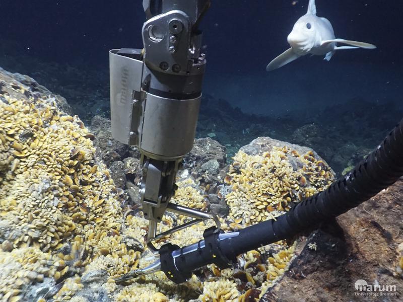 In the field studies on black smokers, robots are used to depths as great as 3000 meters; they are equipped with extensive sensor technology and can take samples of the fluids and rocks.