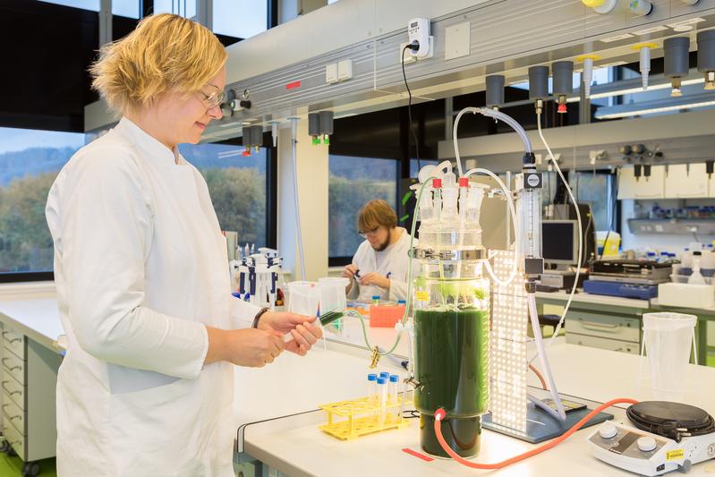 Das Studium der Angewandten Biotechnologie umfasst viele Laborpraktika