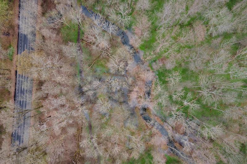 Ausuferungen durch wiederhergestellten Burgauenbach im Leipziger Auwald 