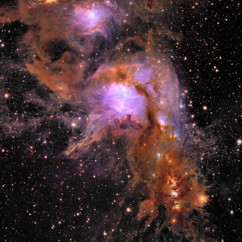 Stern-bildende Region Messier 78