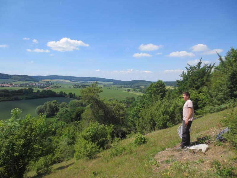 Dr. Felipe Librán-Embid bei seiner Untersuchung an Wildbienen auf Kalkmagerrasen in der Umgebung Göttingens