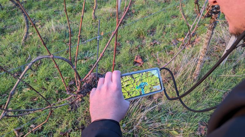 KI soll beim "sanften Schnitt" assistieren