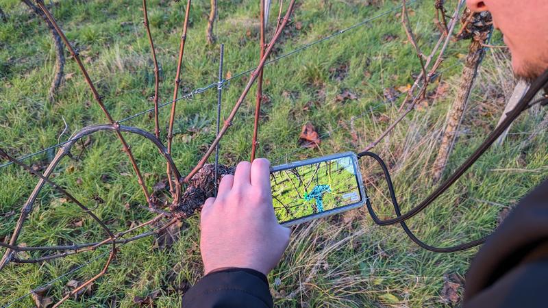 How exactly can AI transform viticulture?