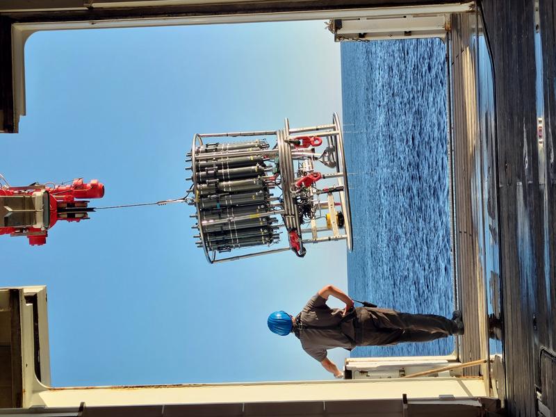 Per Kran wird eine sogenannte CTD-Rosette (CTD = conductivity, temperature, depth) von einem Forschungsschiff ins Meer gelassen. Daran sind Niskinflaschen befestigt, die Wasserproben in verschiedenen Tiefen sammeln. 