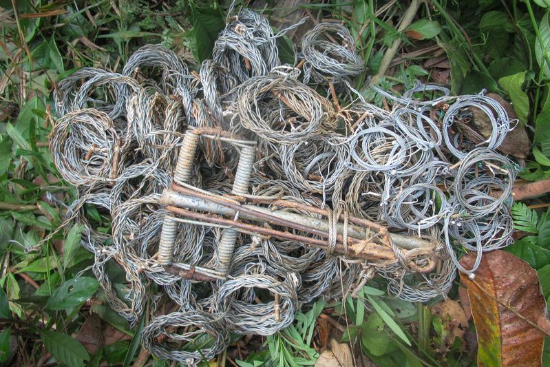 Im Thua Thien Saola-Naturreservat gefundene und zerstörte Drahtschlingen