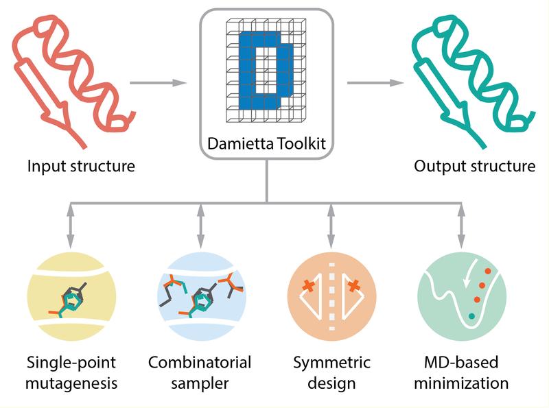 Der Damietta Server integriert verschiedene Protein-Design-Tools und sorgt für deren Interoperabilität (Adaptiert von Nucleic Acids Res, gkae297, https://doi.org/10.1093/nar/)