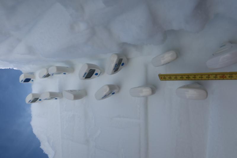 Francesca Carletti uses numerous thermometers to determine the temperature in the snow cover at intervals of five centimetres.