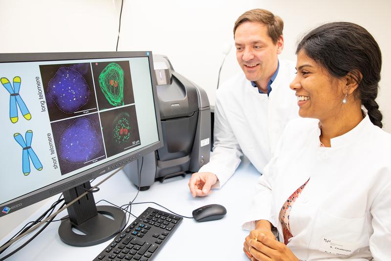 Professor Dr Christian Bär and Dr Shambhabi Chatterjee have developed a new tool to investigate the influence of the protective caps for our genetic material on heart health. 