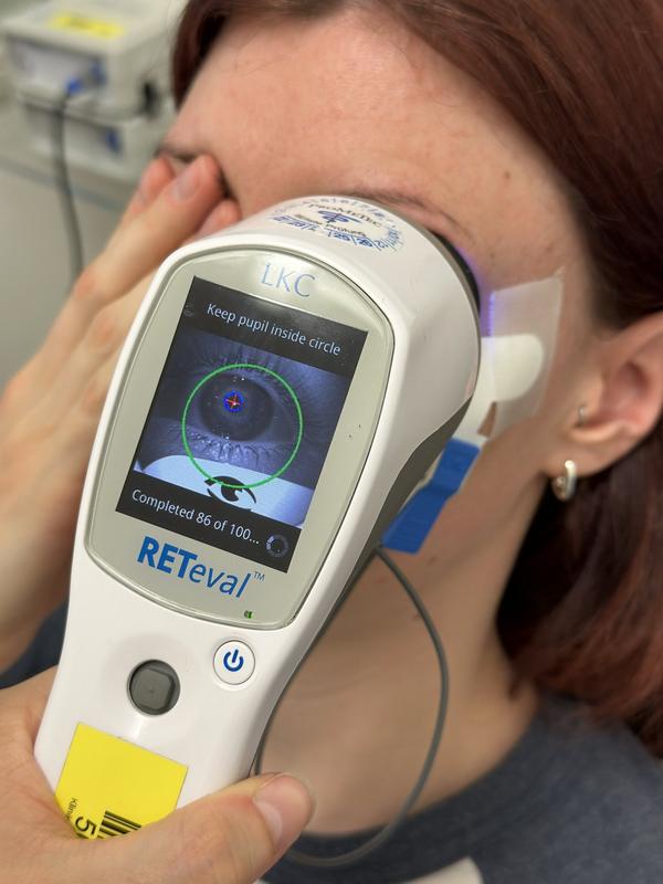 Example image for conducting electrophysiological measurements of the retina.