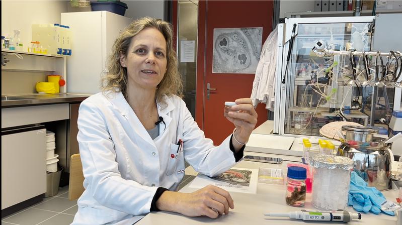 Empa-Forscherin Tina Bürki im Labor