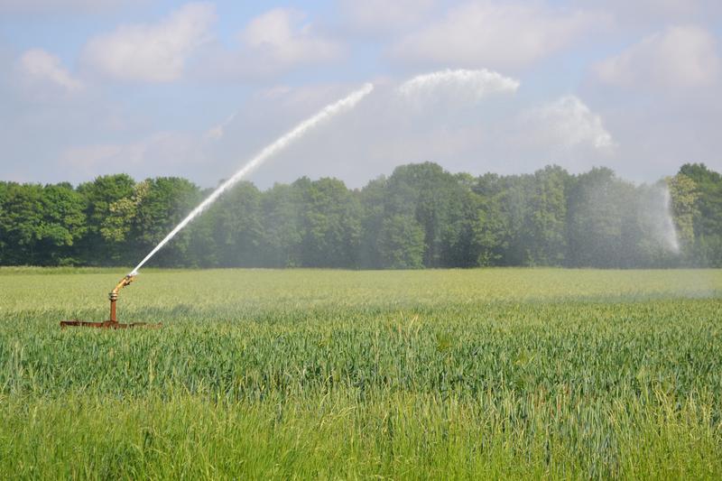 Bewässerungsanlage in der Landwirtschaft.