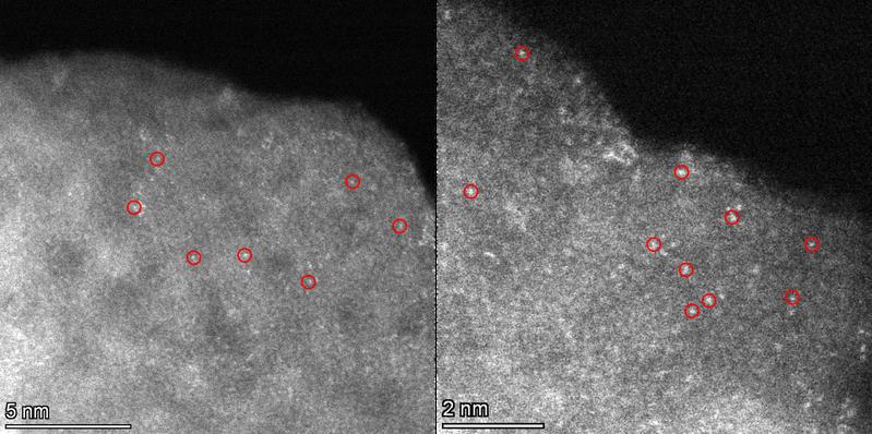 Hochauflösende Aufnahme der einzelnen Kupferatome (rot markiert) des heterogenen Katalysators (Cu-SAC) mit dem Rastertransmissionselektronenmikroskop (STEM). 