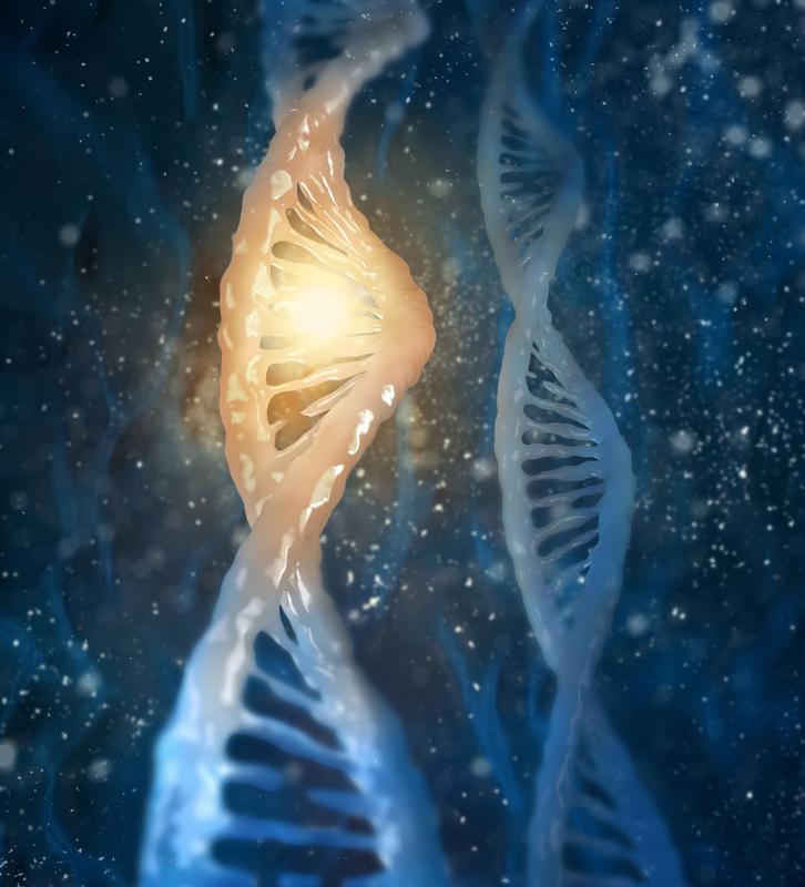 Die DNA eines Menschen kann in Milliarden Abschnitten gelesen werden.