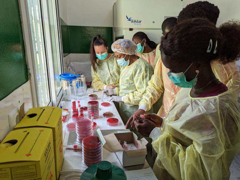 Das Team von Sören Becker baut mit Klinikpartnerschaften Diagnostiklabore wie hier in Guinea-Bissau auf und schult Ärzte und Mitarbeiter. Es geht nicht um teure Ausstattung, sondern um Know-how und Routine-Infektionsdiagnostik: Petrischalen und Mikroskop.