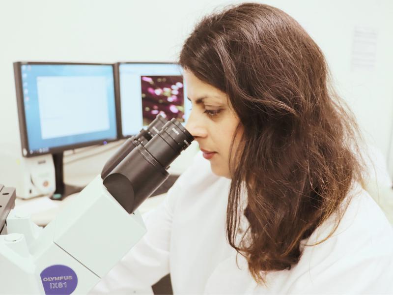 Die Neurobiologin Dr. Mehri Moradi vom Universitätsklinikum Würzburg (UKW) erhält eine DFG-Förderung in Höhe von 420.000 Euro für den Aufbau einer Forschungsgruppe zur Pathogenese der Amyotrophen Lateralsklerose (ALS). 