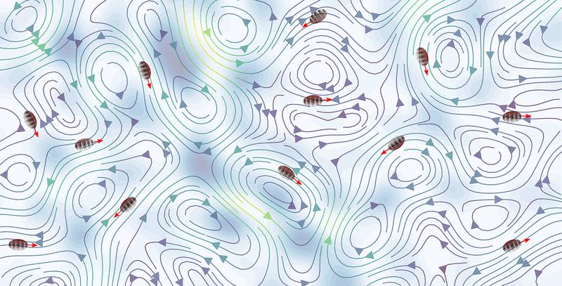 Visualization of counter-current swimming of the microswimmers to avoid high straining regions depicted with blue.