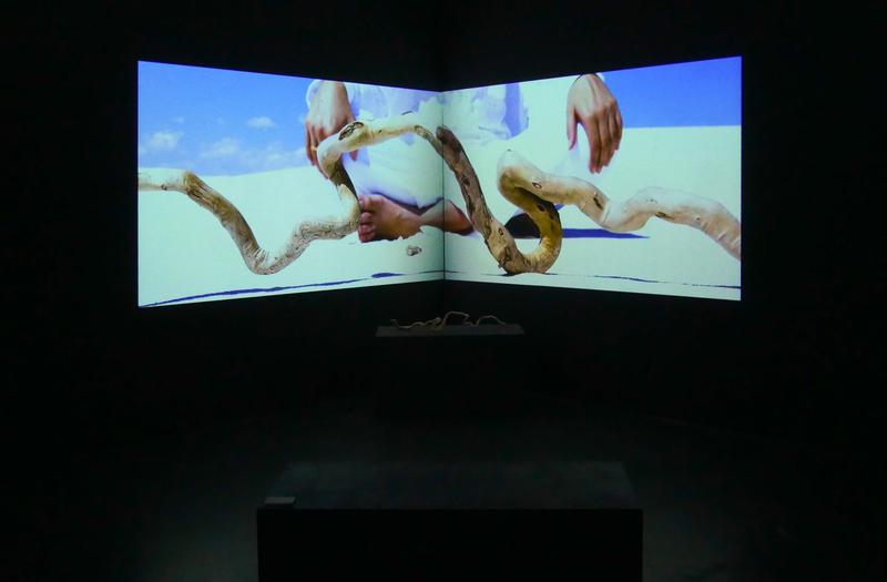 Installationsansicht: Lisa Reutelsterz, „this S. does not exist“, 2024, 2-Kanal-Videoinstallation