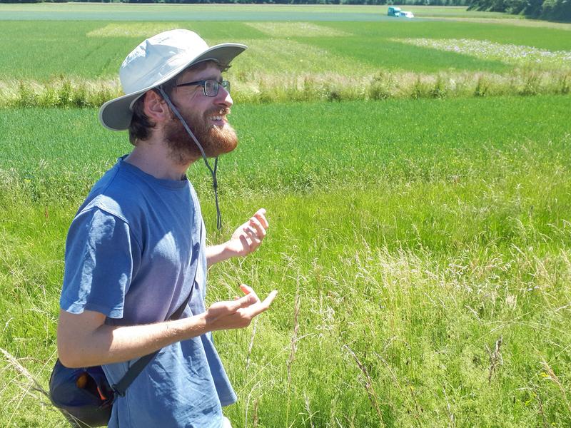 Dr. Séverin Hatt (Photo) and Prof. Dr. Thomas Döring investigated the interplay of intercropping, wildflower strips and weeds on pest infestation. 