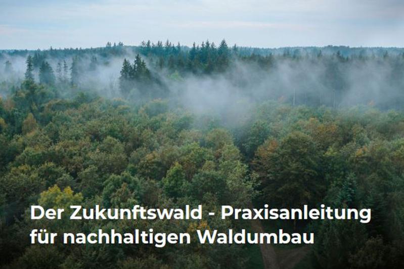 Das Titelbild der „Praxisanleitung für nachhaltigen Waldumbau“ zeigt einen Wald südlich von Westerschondorf, Landkreis Landsberg am Lech.