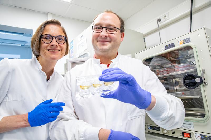 Have found a molecular switch to protect the motor nerve cells of ALS patients: Professor Dr. Susanne Petri and Dr. Thomas Gschwendtberger. 