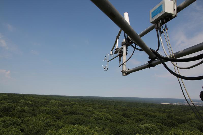 Messungen im Nationalpark Hainich fließen auch ins FoResLab ein 