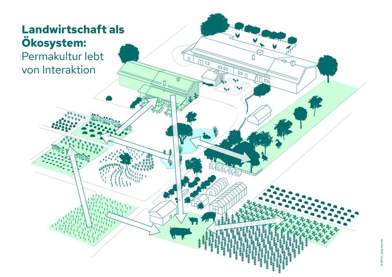 Für ein stabiles Landwirtschaftsystem mit funktionierenden Kreisläufen werden in der Permakultur nach Abbild der Natur die einzelnen Bestandteile (Tierarten, Feldfrüchte, Bäume, Hofangehörige) durch Interaktionen zu einem komplexen System verwoben. 