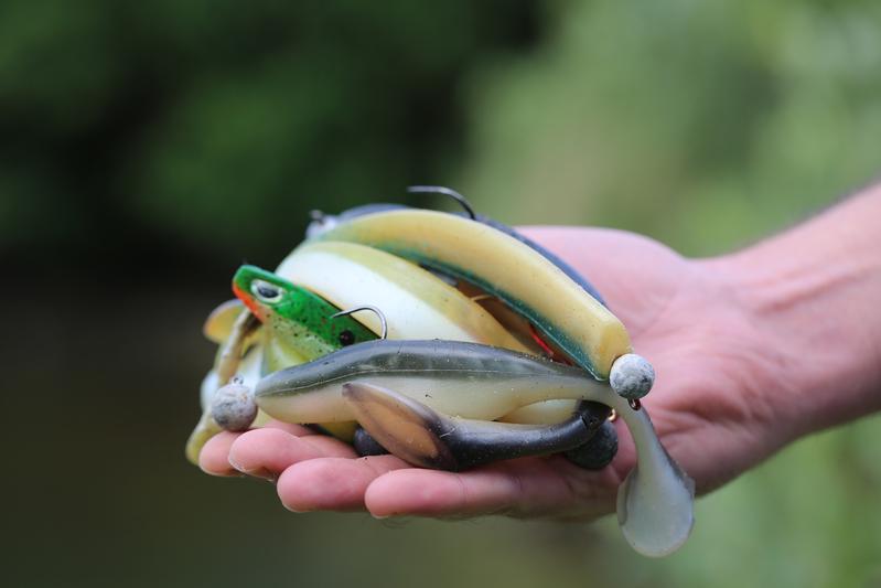 Standard soft plastic baits, as examined for the study.