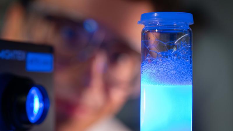 Dr. Jacob Schneidewind untersucht die Wasserspaltung mit blauen Licht. Ziel eines neuen Forschungsprojekts ist es, künstliche Chloroplasten zu entwickeln und mit ihnen Photosynthese zu betreiben, um so Wasserstoff zu gewinnen.