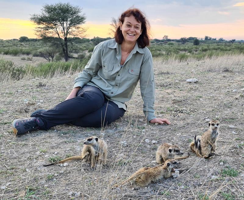 Prof. Simone Sommer umgeben von wilden Erdmännchen in der Kalahari 