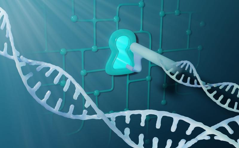 Illustration of a metabolic network unlocked by a genetic key.  Image created by Alexey Chizhik.