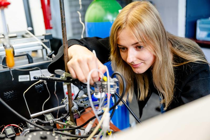 „Wir mussten erst einmal diesen thermodynamischen Grand Canyon überbrücken“, sagt Erstautorin Ieva Cechanaviciute über die Herausforderungen der Studie.