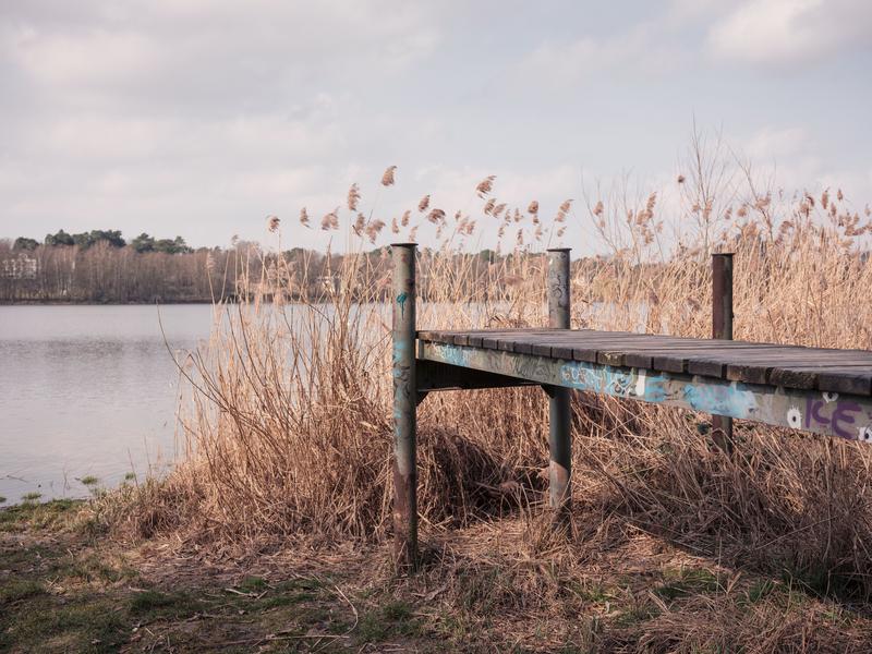 Der Steg der DLRG-Station am südöstlichen Ufer des Groß Glienicker Sees führt nicht mehr auf den See hinaus. Die Pfeiler stehen im Trockenen. Vor zehn Jahren war das noch anders.