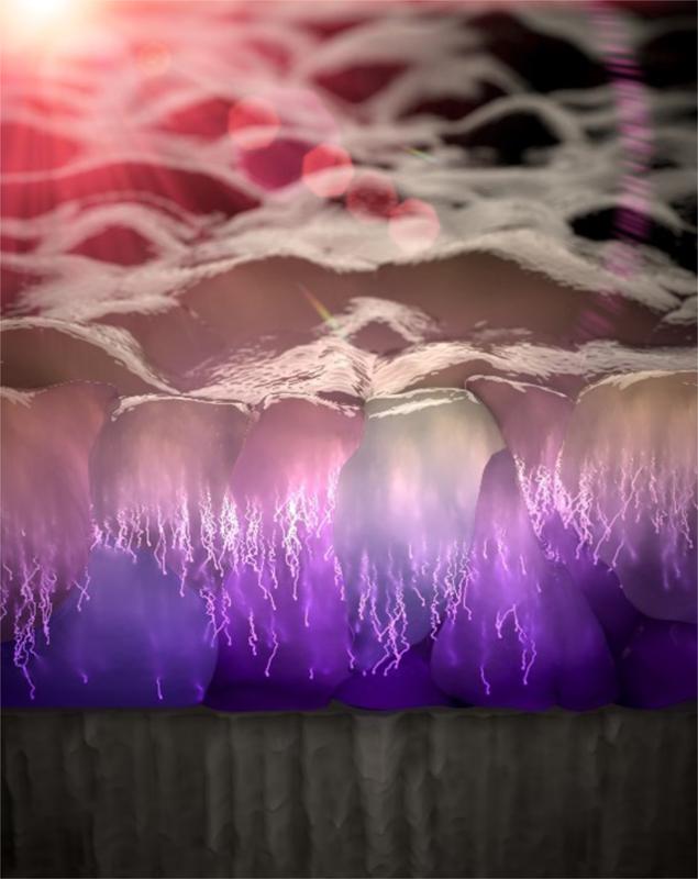 Artistic image showing the vertical motion of photocarriers (jiggling trajectories) through the nanocrystallites of a metal halide perovskite film, based on measured topography data. 