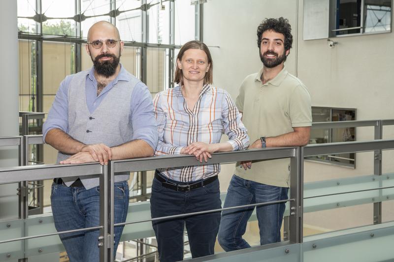 : How star-shaped cells increase flexible learning Dr. Pietro Verzelli, Prof. Tatjana Tchumatchenko and Lorenzo Squadrani solve the hidden mystery of the role of astrocytes for learning processes and memory in the brain.