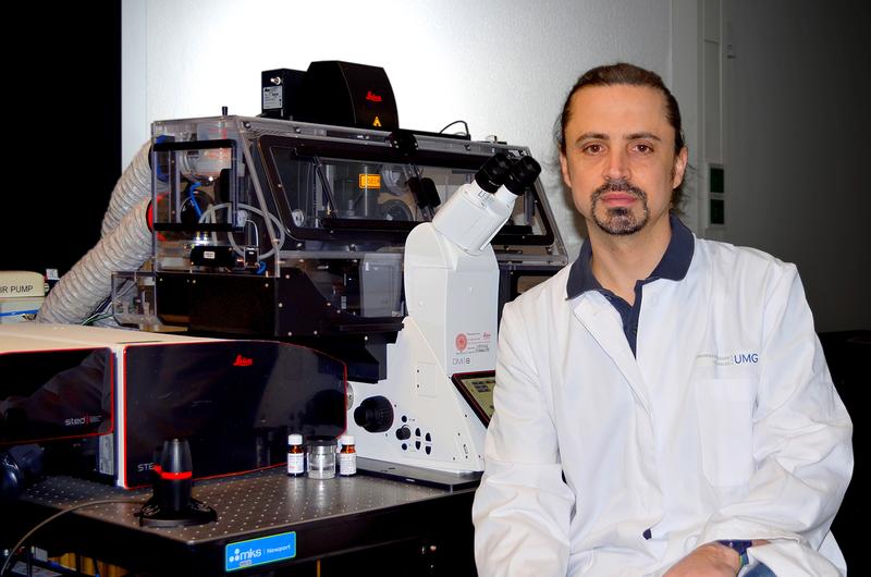 In the laboratory: Dr. Eugenio F. Fornasiero, research group leader at the Institute of Neuro- and Sensory Physiology at the University Medical Center Göttingen (UMG).