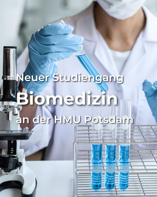 Studiengang Biomedizin ab WiSe 24/25