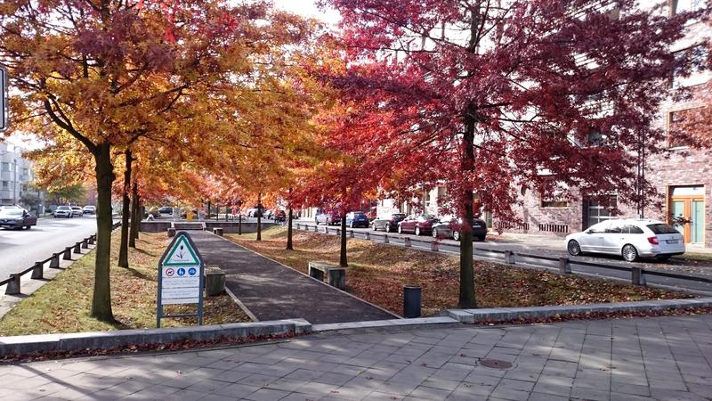Angelegte Mulden zur Straßenentwässerung bei Starkregen in der Rummelsburger Bucht in Berlin