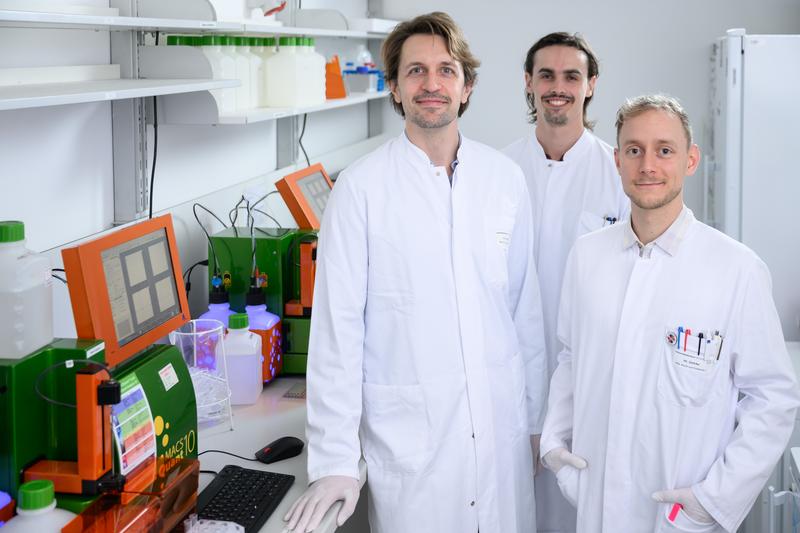 Karl Petri (left) is setting up an Emmy Noether research group at the University Hospital of Würzburg with the support of the German Research Foundation. Alexandre Trubert (centre) and Leon Gehrke (right) are already part of the team. 