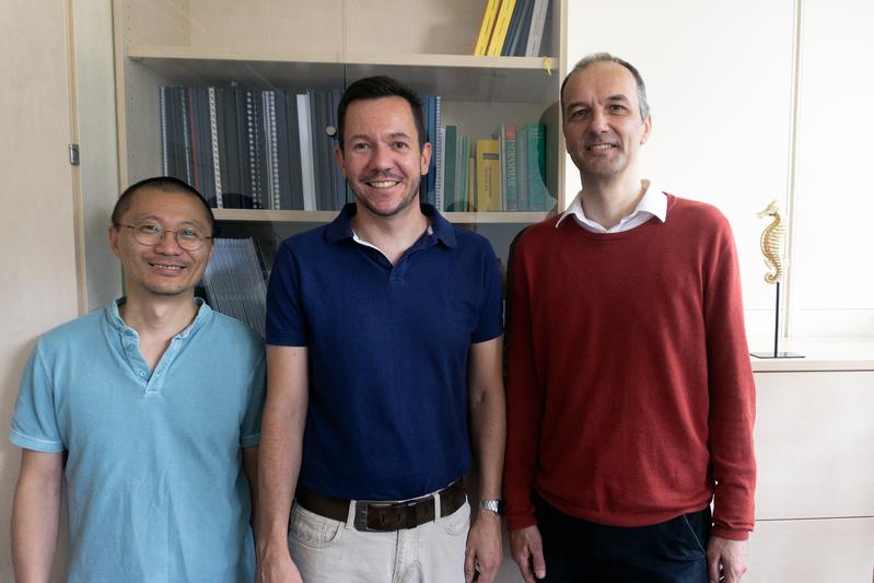 Sen Cheng, Jan Melchior und Laurenz Wiskott (von links) erforschen mithilfe von neuronalen Netzwerken die Funktionsweise des Hippocampus – einer Gehirnregion, die für das Gedächtnis wichtig ist und den lateinischen Namen für Seepferdchen trägt.