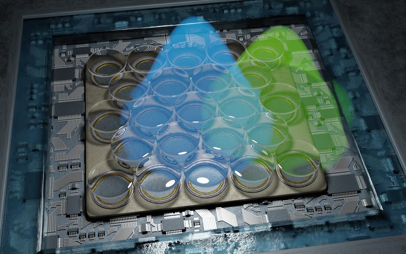 Schematische Darstellung des hoch empfindlichen Detektors. Dieser besteht aus 23 einzelnen Detektoren, wodurch die Auflösung des Fluoreszenzmikroskops verdoppelt werden konnte. 