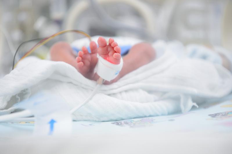 Die ersten Ergebnisse der PRIMAL-Studie wurden im August 2024 in JAMA Pediatrics veröffentlicht: Bifidobakterien und Lactobazillen fördern die Reifung der Darmflora bei Frühgeborenen. 
