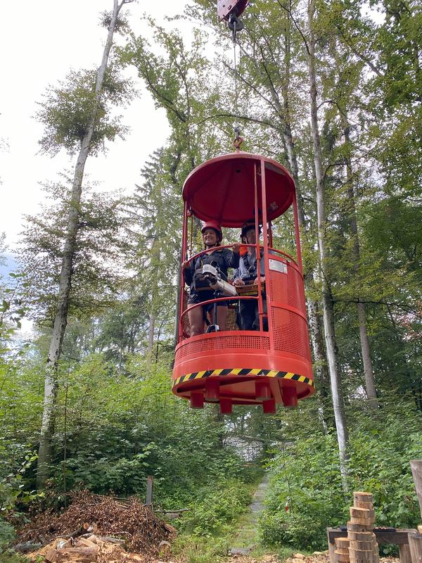 In einer von einem Kran getragenen Kabine erreichte Eugenie Mas die 30m hohen Baumkronen in Hölstein (BL). 