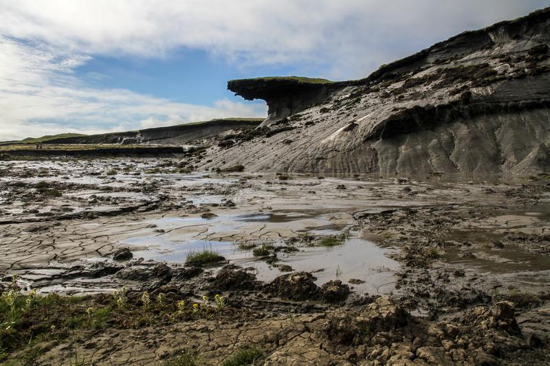 Durch Erosion gezeichnete Küstenlandschaft mit Schmelzwasserteichen auf Herschel Island, Kanada. 