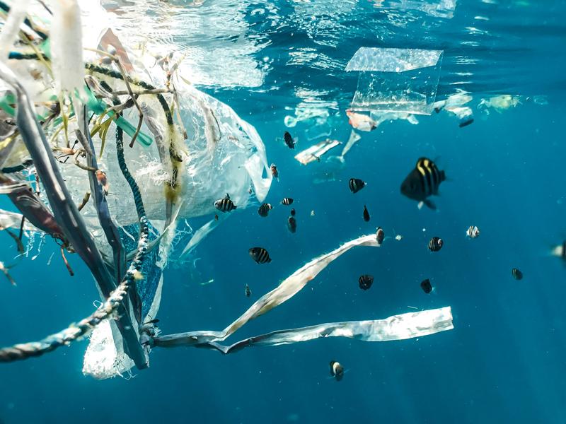 Plastic waste floats in the sea. The plastics decompose over time and release chemicals into the environment.