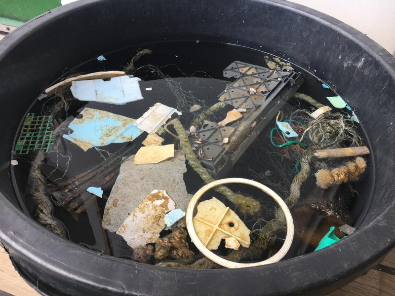 Collection bin with plastic trash.