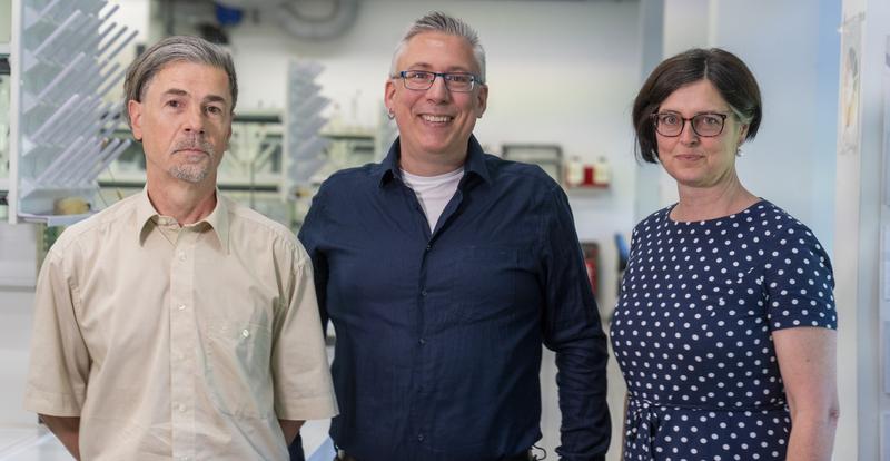 Das aktuelle Team des Fachgebietes Organische Chemie mit Schwerpunkt Polymere an der BTU Cottbus-Senftenberg (v. li.): Dr. Markus Collas, Prof. Dr. Axel T. Neffe, Steffi Schulze.