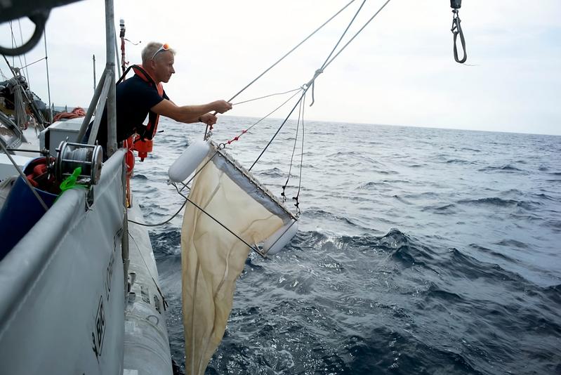 Das Forschungsteam sammelt für seine Studien auf Expeditionen einzellige Mikroalgen aus dem Meer (Foto: Samues Bollendorff, Fondation Tara Océan). 