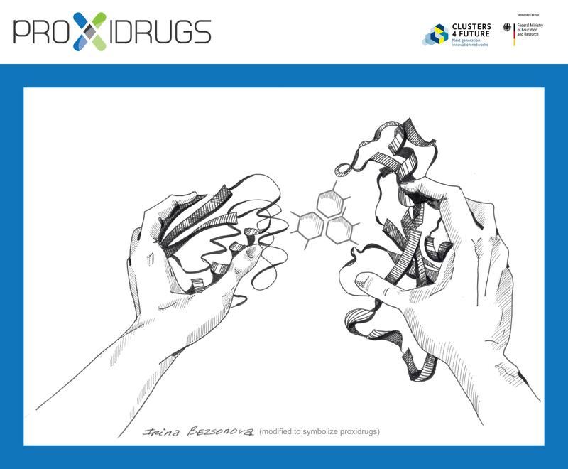 Symbolic representation of the PROXIDRUGS’ function: The active substance brings 2 proteins together like the two hands shown here. (Illustration adapted after Irina Bezsonova) 