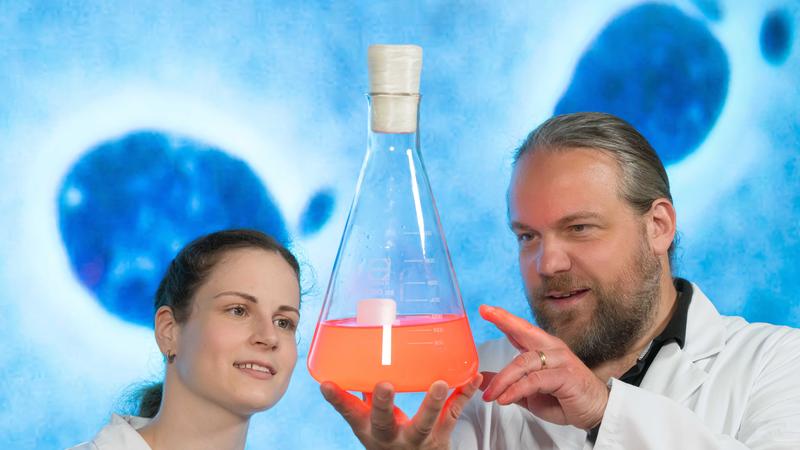 Prof. Dr. Christian Jogler (r.) and doctoral student Carmen Elisabeth Wurzbacher study a culture of Planctopirus Limnophila bacteria.